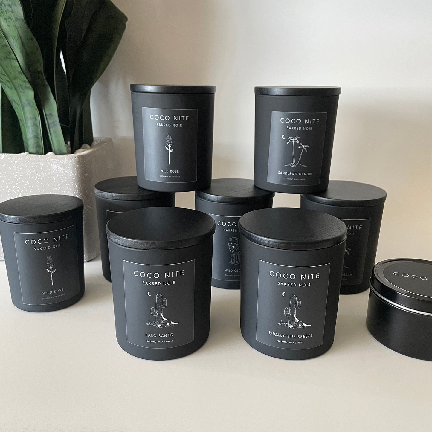Coconut Dream Candle